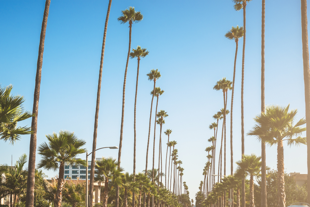 Photo of Los Angeles, California