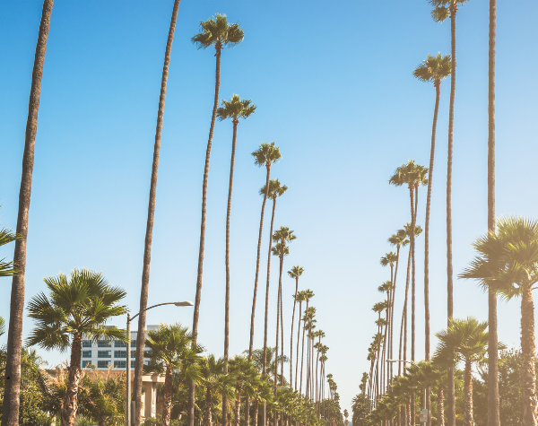 Image for Los Angeles, California office