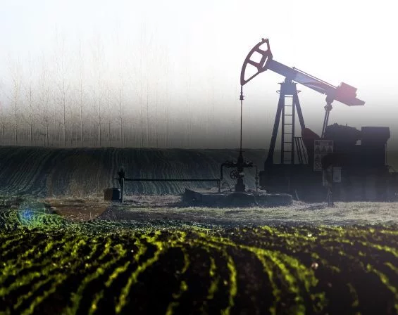 Image for Spotlight on: Energy practice